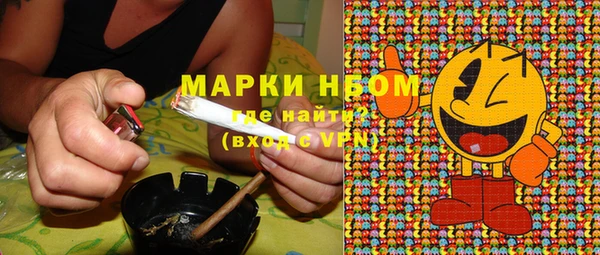 спиды Бородино