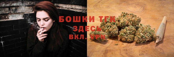 стаф Богородицк