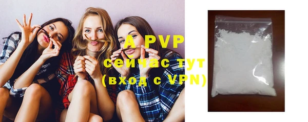 спайс Богданович