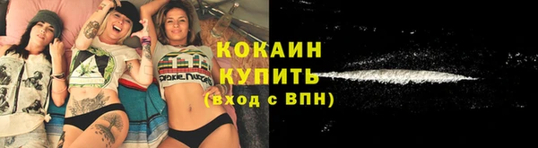 спайс Богданович
