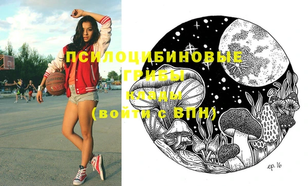 спайс Богданович