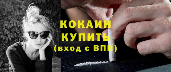 спиды Бородино