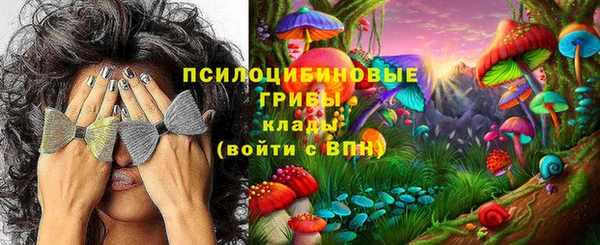 экстази Богородск